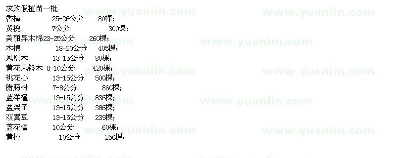 求購(gòu)香樟、黃槐、木棉、黃花風(fēng)鈴木、桃花心、臘腸樹(shù)等苗木