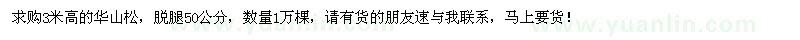 求購高3米華山松
