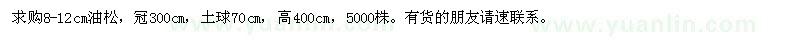 求購8-12公分油松
