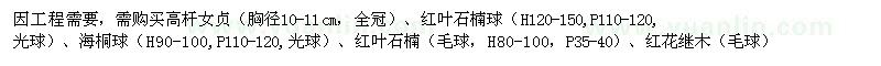 求購(gòu)高桿女貞、紅葉石楠球等苗木