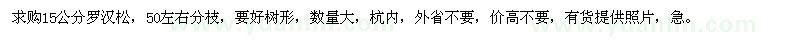 求購15公分羅漢松