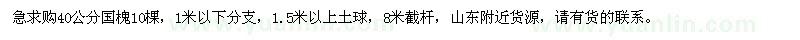 求購40公分國槐
