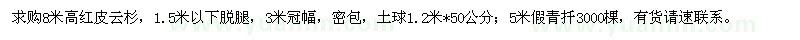 求購8米高紅皮云杉、5米假青扦