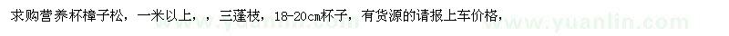 求購1米以上營養(yǎng)杯樟子松