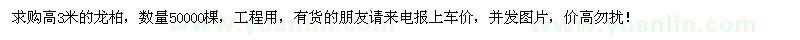 求購高3米龍柏