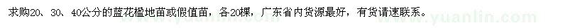 求購(gòu)20、30、40公分藍(lán)花楹