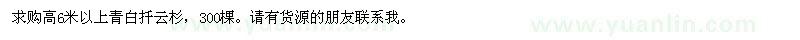 求購(gòu)高6米以上青白扦云杉