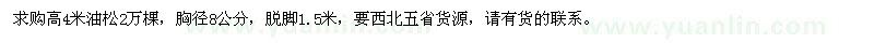 求購高4米油松