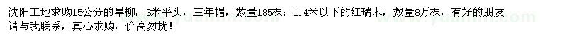 求購旱柳、紅瑞木