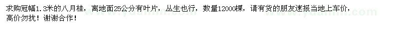求購(gòu)八月桂
