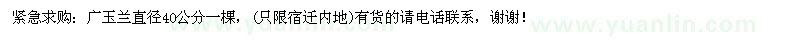 求購直徑40公分廣玉蘭