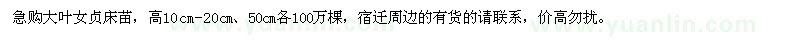 求購(gòu)大葉女貞床苗