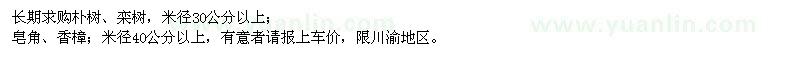 求購樸樹(shù)、欒樹(shù)、皂角