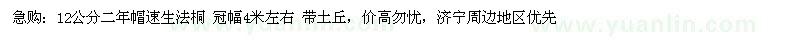 求購12公分法桐