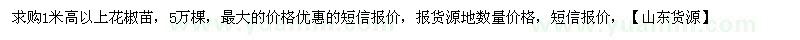 求購高1米以上花椒苗