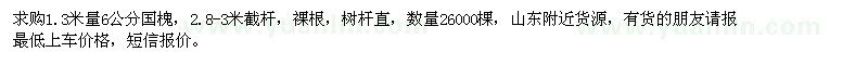 求購6公分國槐