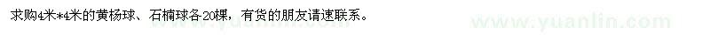 求購4米黃楊球、石楠球