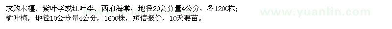 求購(gòu)木槿、紫葉李、紅葉李、西府海棠、榆葉梅