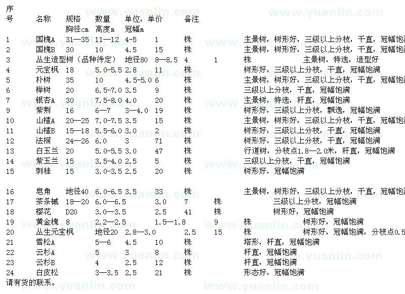 求購國槐、樸樹、櫸樹、銀杏等