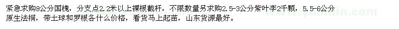 求購國槐、紫葉李、法桐