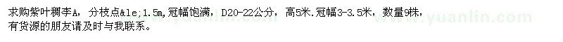 求購高5米紫葉稠李