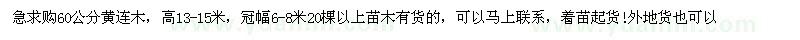求購60公分黃連木