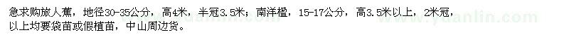 求購旅人蕉,南洋楹
