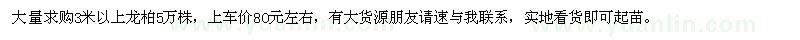 求購(gòu)3米以上龍柏5萬(wàn)株 