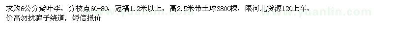 求購6公分紫葉李
