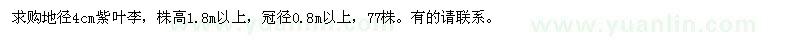 求購冠徑0.8米以上紫葉李  