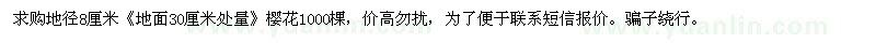 求購8公分櫻花