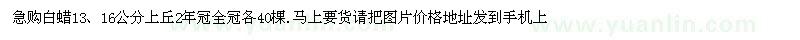 求購13、16公分白蠟
