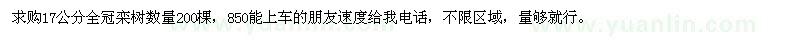 求購17公分欒樹