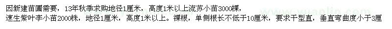 求購流蘇、速生紫葉李小苗