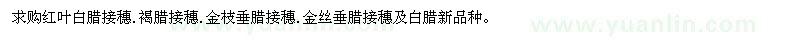 求購紅葉白臘接穗、褐臘接穗、金枝垂臘接穗