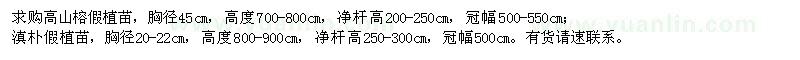 求購(gòu)高山榕假植苗、滇樸假植苗