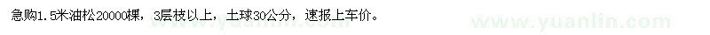求購(gòu)1.5米油松