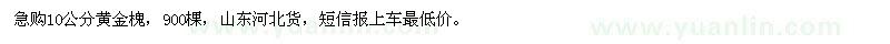 求購10公分黃金槐