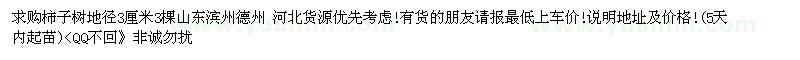 求購地徑3公分柿子樹