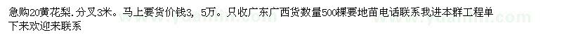 求購20公分黃花梨