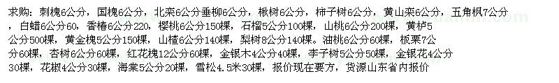 求購刺槐、國槐、北欒等苗木