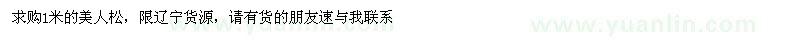 求購1米美人松
