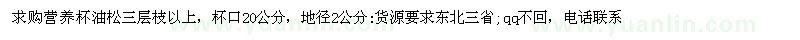 求購營養(yǎng)杯油松