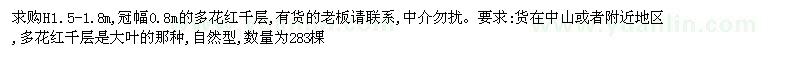 求購高1.5-1.8米多花紅千層
