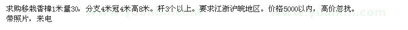 求購(gòu)1米量30公分移栽香樟
