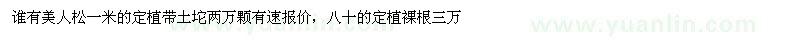 求購1米定植帶土坨美人松