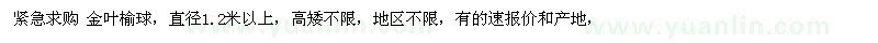 求購(gòu)直徑1.2米以上金葉榆球 