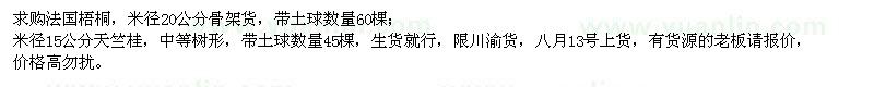求購(gòu)法國(guó)梧桐、天竺桂