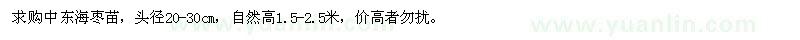 求購(gòu)頭徑20-30公分中東海棗苗