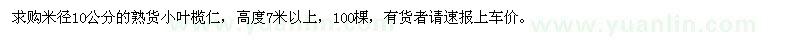求購米徑10公分熟貨小葉欖仁